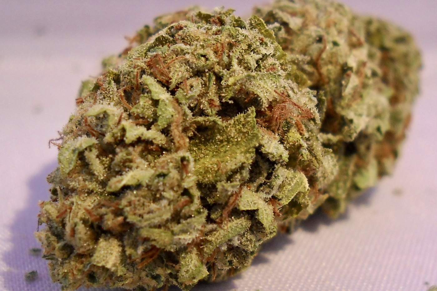 Birthday Cake Oz Deal *OUT OF STOCK* - Exotic Blooms - Experience  Washington D.C's Premier, Exclusive Cali Medical Grade Flower
