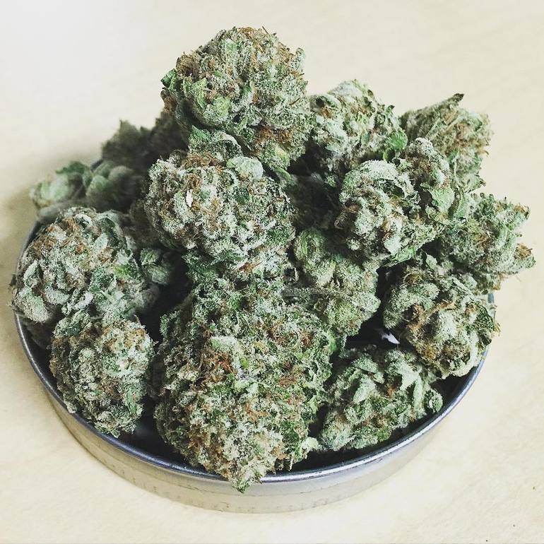 Buy Ocean OG Online | greenrush Delivery