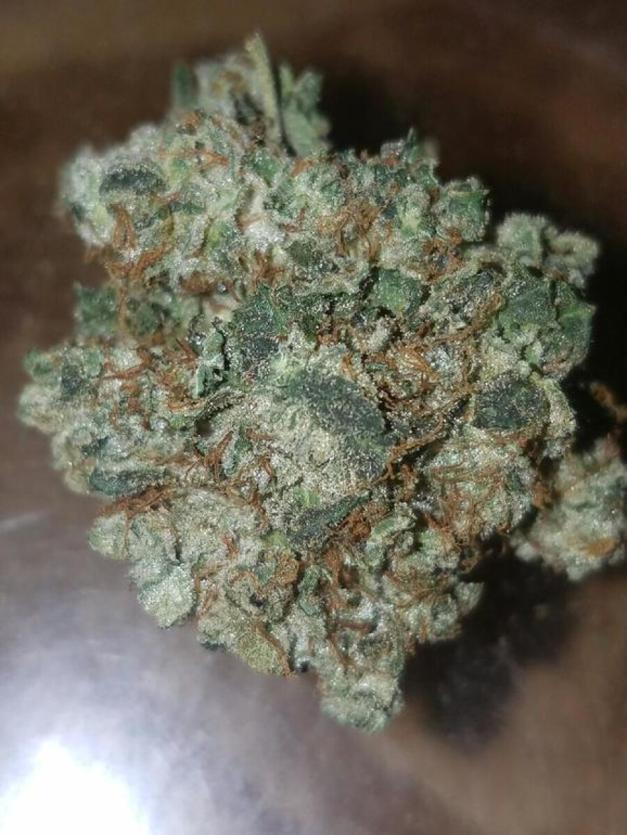 Strain of the Month: Gorilla Glue - Pure Oasis