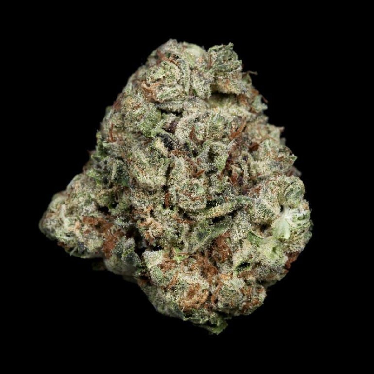 Buy White Tahoe Cookies - High Garden - 21.7% THC Online | greenrush ...